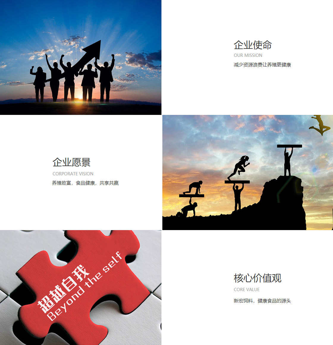 多彩网(图1)